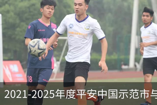 2021-2025年度平安中国示范市与县，谁上榜了？